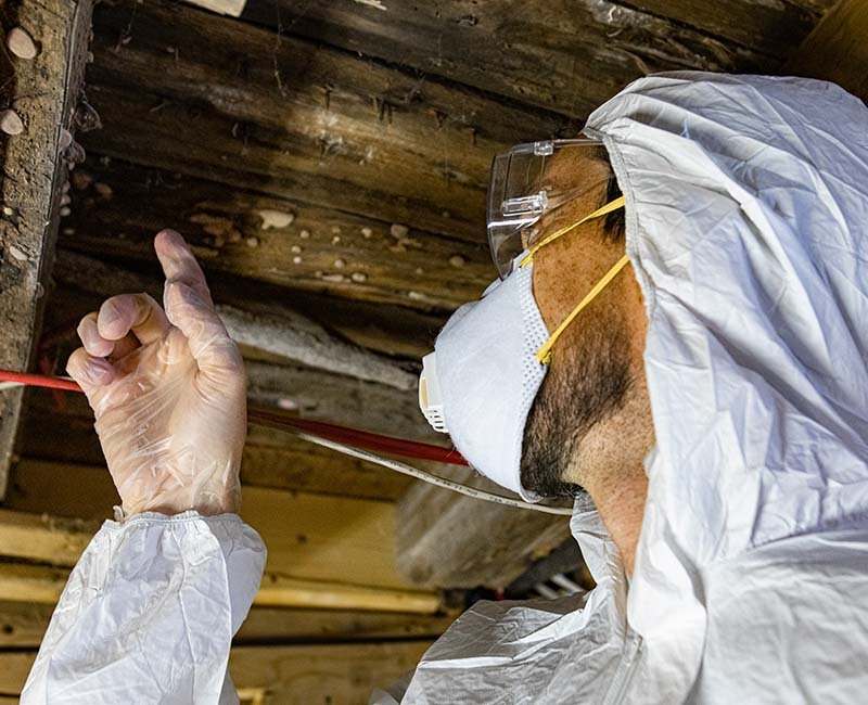 Asbestos Testing