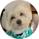 MICHELLE LEARY profile picture